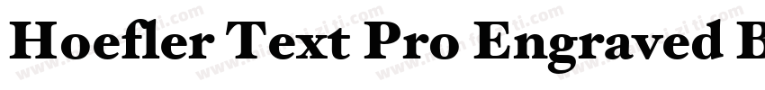 Hoefler Text Pro Engraved Bold字体转换
